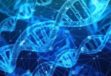 IT·AI업체 신약개발 참여 ‘Bio의약’ 압도… 美 과반↑, 북미 英 EU 94% 점유