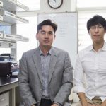 이온 교란 인공펩타이드 항암제 개발, 암세포 자가사멸 유도