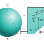 Quantum network photonic quantum information processor