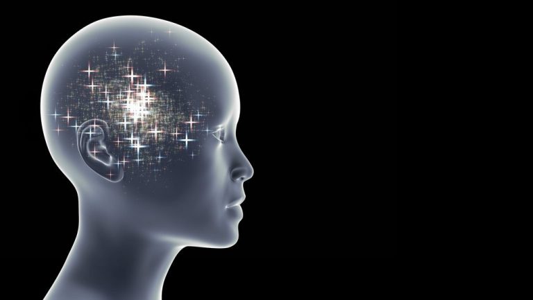 uncover blind spots of AI and neuroscience