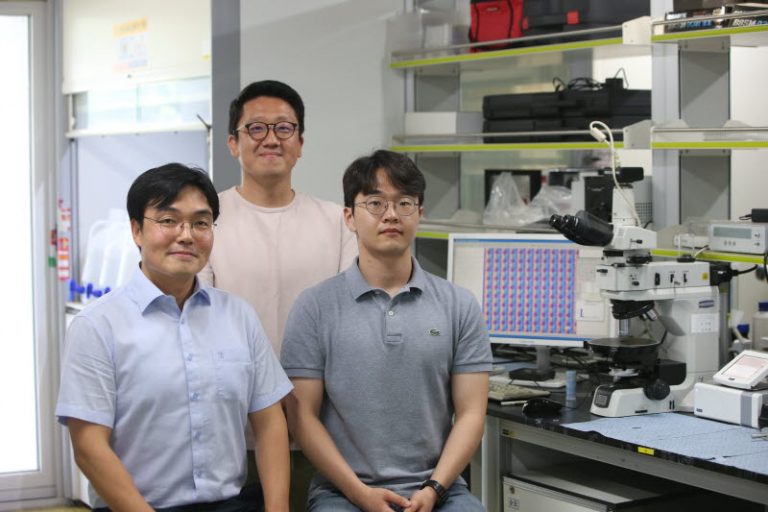 DNA 마이크로패치 구조체 제작 기술 개발
