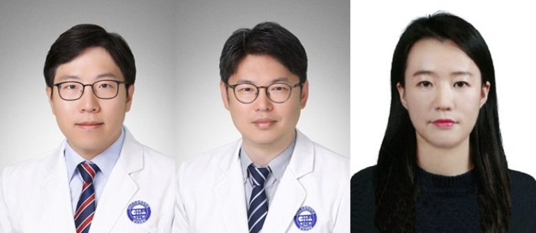면역세포 스팅 단백질, 면역항암 치료 증강 확인