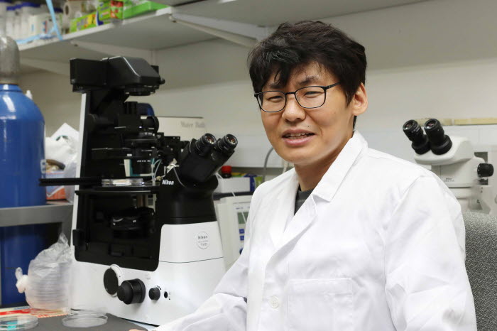 올리브유 함유 올레산, 노화방지와 장수 효과 입증