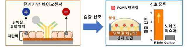 단백질 막 바이오센서로 신속한 질병 진단