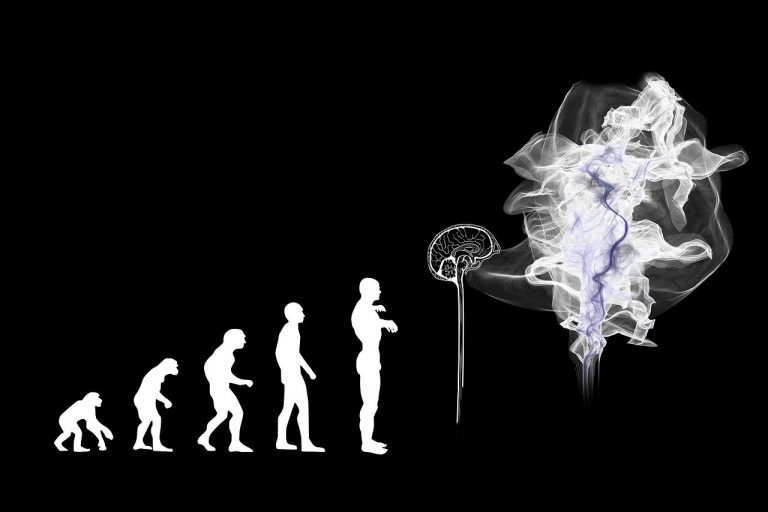 AI 기계학습 '적자생존' 자체 진화 설계