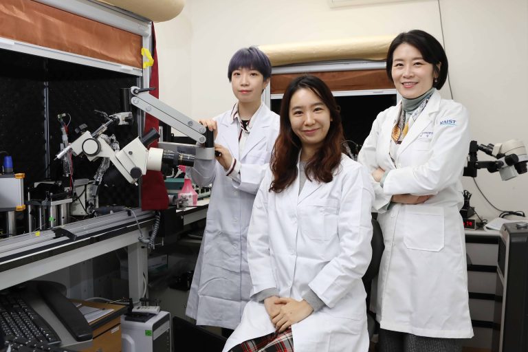 두뇌 인지기능 조절 신경 펩타이드 발견… 치매 등 뇌 질환 치료제 가능성