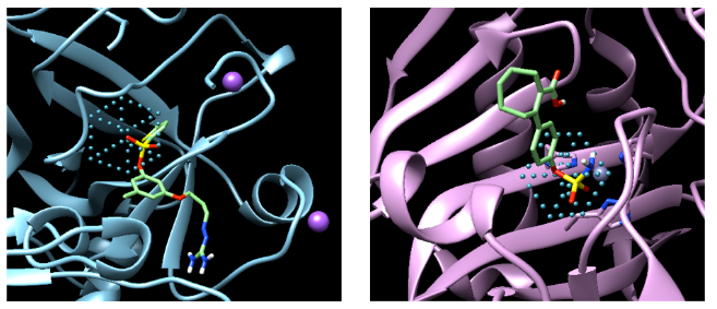 Atomwise Raises $123 Million to Accelerate AI Drug Discovery