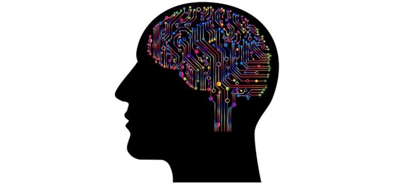 AI 기억 학습을 위한 ‘생성적 재생’