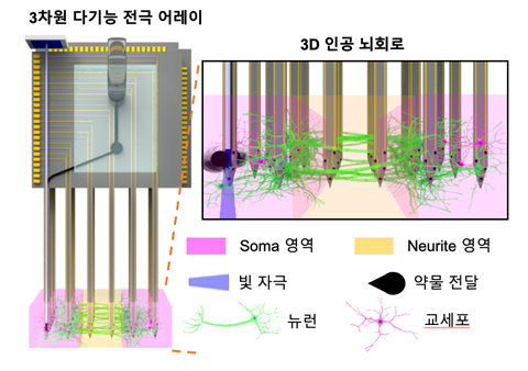 3D 인공 뇌 신호 연구 분석 툴 개발