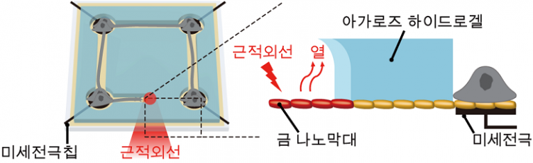 신경망 연결 실시간 조절 신경세포 칩 플랫폼 개발