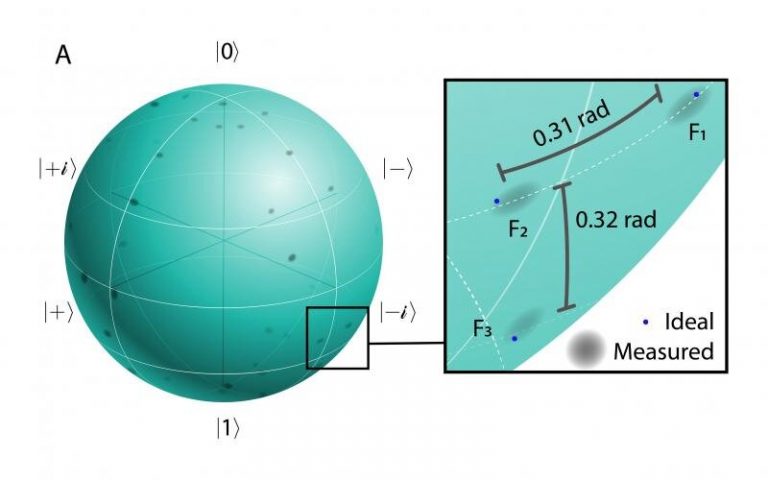 Quantum network photonic quantum information processor