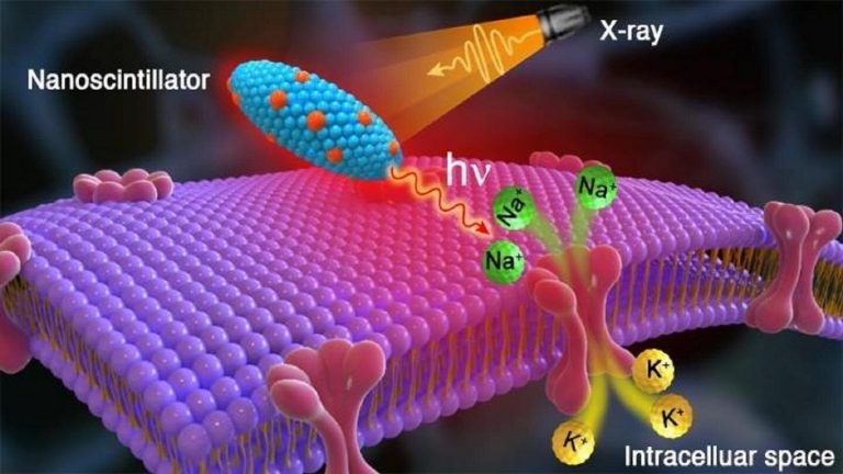 a healing light on the brain for movement disorders