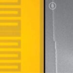 first indication of on-chip control of quantum information