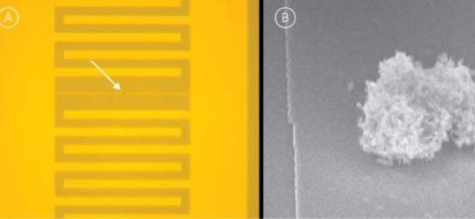 first indication of on-chip control of quantum information