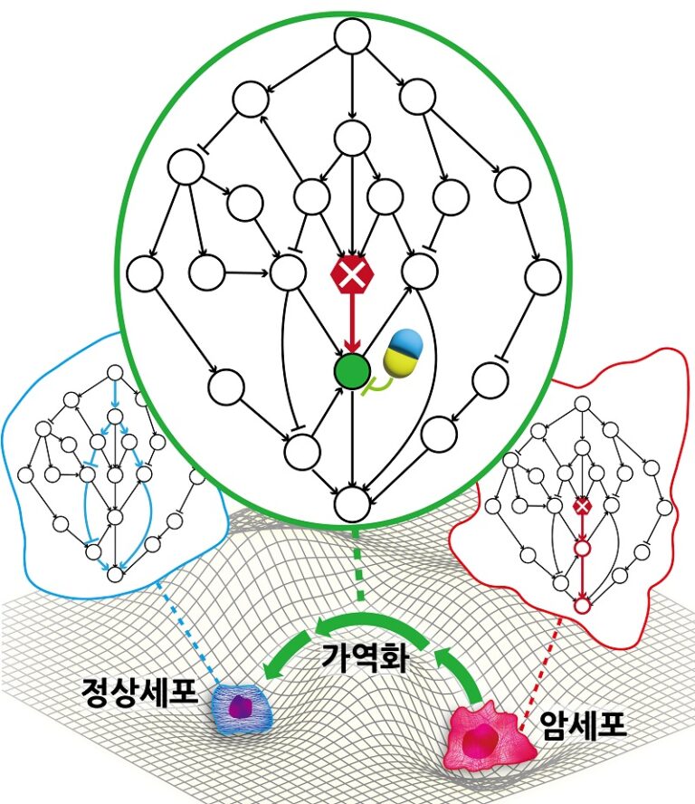 KAIST, 암세포를 정상세포로 바꾸는 치료원리 최초 규명