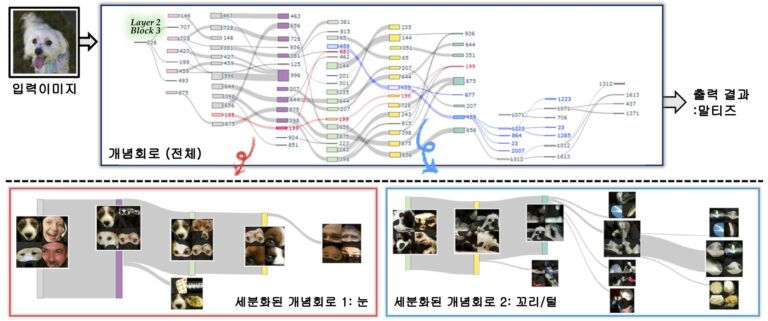 KAIST, AI 의사결정 구조 회로 단위로 첫 시각화
